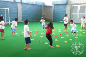 からだ作りスクール「とびら」